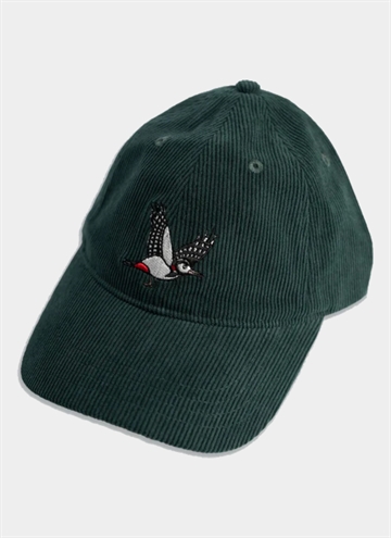 Lakor Flying Woodpecker Courd Cap